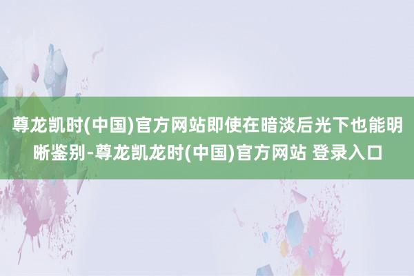 尊龙凯时(中国)官方网站即使在暗淡后光下也能明晰鉴别-尊龙凯龙时(中国)官方网站 登录入口