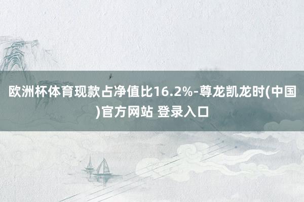 欧洲杯体育现款占净值比16.2%-尊龙凯龙时(中国)官方网站 登录入口