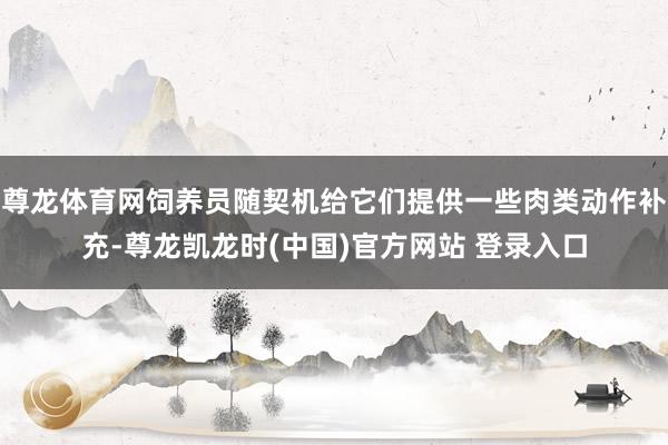 尊龙体育网饲养员随契机给它们提供一些肉类动作补充-尊龙凯龙时(中国)官方网站 登录入口