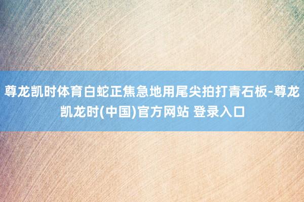 尊龙凯时体育白蛇正焦急地用尾尖拍打青石板-尊龙凯龙时(中国)官方网站 登录入口