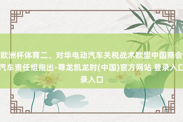 欧洲杯体育二、对华电动汽车关税战术欧盟中国商会汽车责任组指出-尊龙凯龙时(中国)官方网站 登录入口