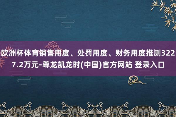 欧洲杯体育销售用度、处罚用度、财务用度推测3227.2万元-尊龙凯龙时(中国)官方网站 登录入口