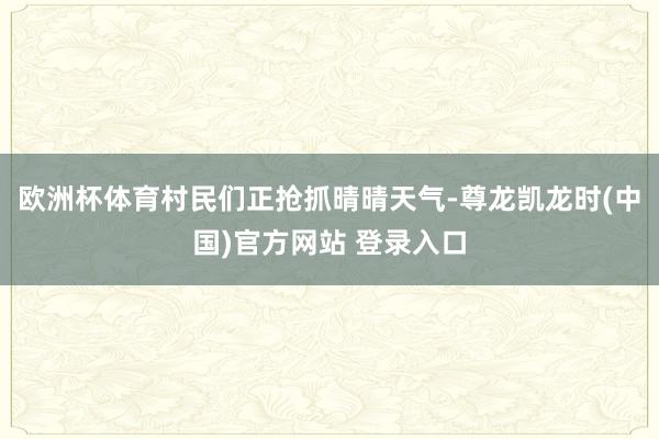 欧洲杯体育村民们正抢抓晴晴天气-尊龙凯龙时(中国)官方网站 登录入口